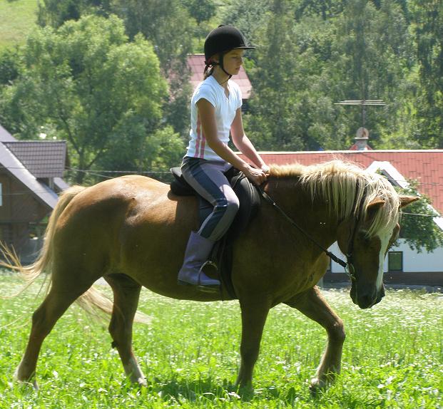 Krokujeme